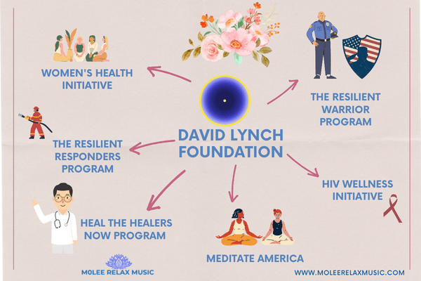 programs of David Lynch foundation