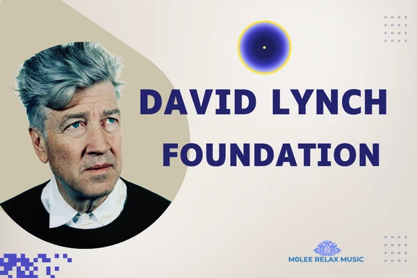 The Amazing David Lynch Foundation
