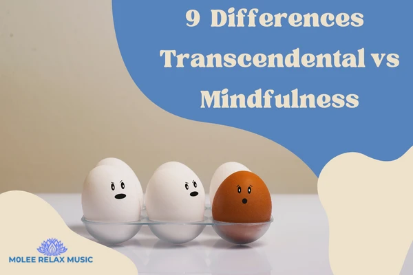 questions on transcendental meditation