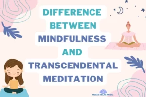 mindfulness vs transcendental meditation
