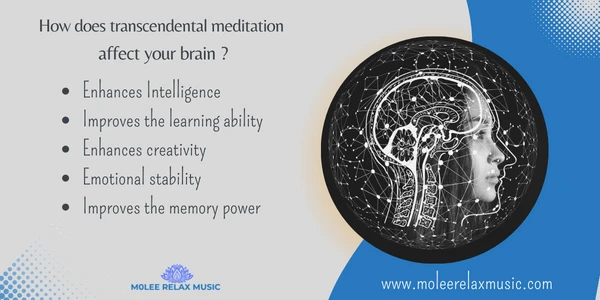 transcendental meditation happens to brain