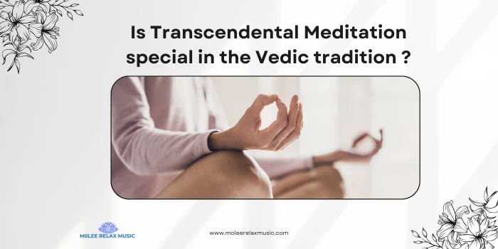 What makes Transcendental Meditation special in the Vedic tradition