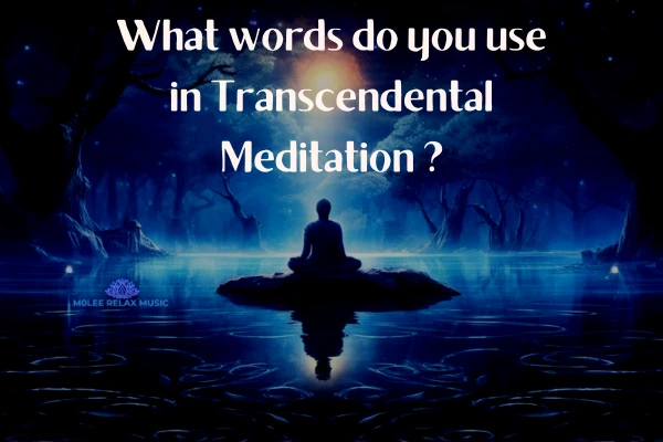 What words do you use in Transcendental Meditation?