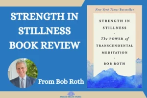 Strength in Stillness Book Review