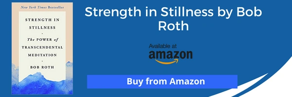 strength in stillness book
