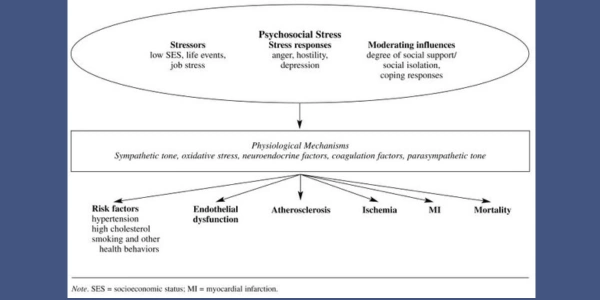 Psycho social Stress and Cardiovascular Disease