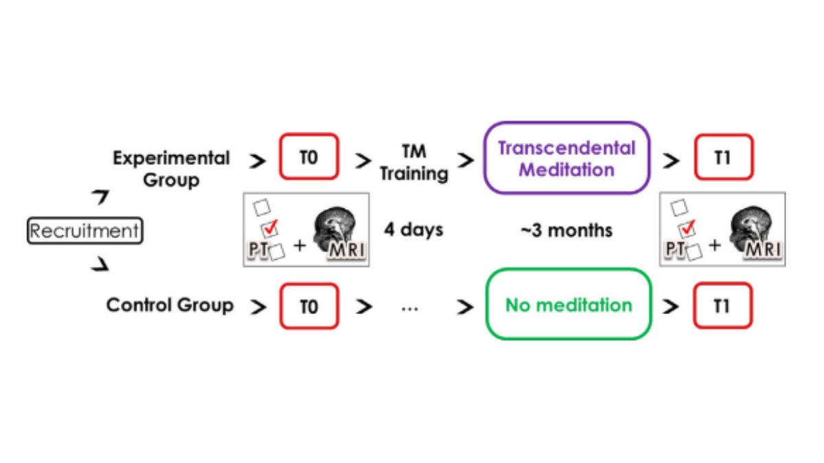 Transcendental Meditation Research 1